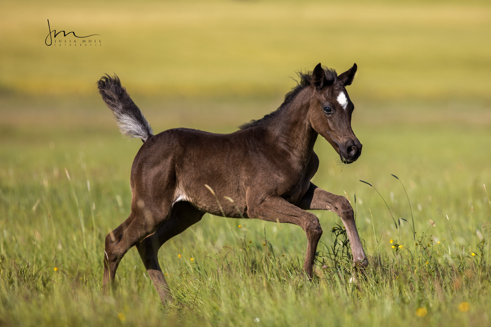 _V0A5995web _V0A5995web