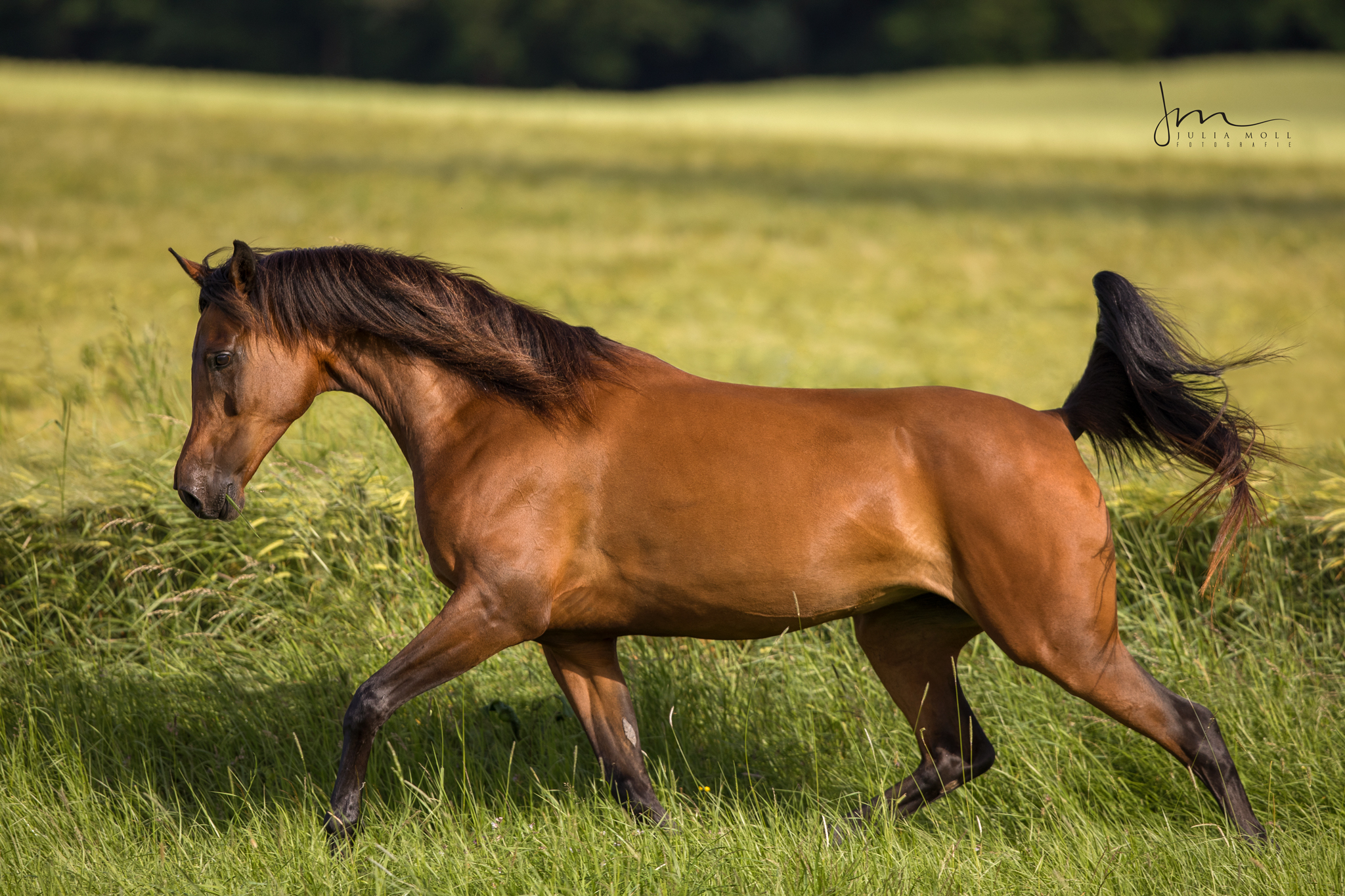 _V0A6395web _V0A6395web